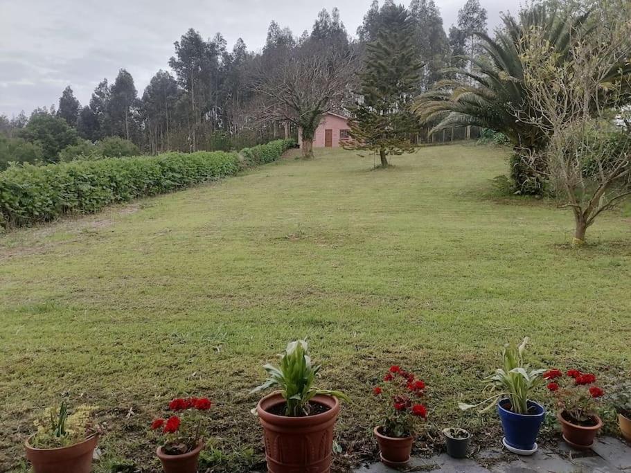 La casa azul: Un lugar mágico y acogedor en finca Juncedo Exterior foto